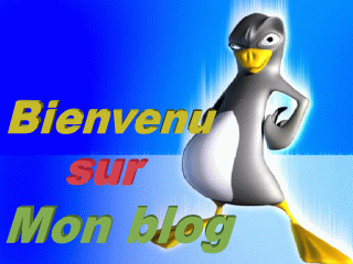 bienvenu sur mon blog